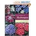 Encyclopedia of Hydrangeas