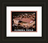 Small Griffin Stadium Florida Gators Aerial Framed Print - Black Double Mat