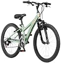 Diamondback Tess 24 Jr Girls Mountain Bike (24-Inch Wheels)