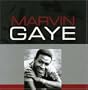 Marvin Gaye (Jewl)