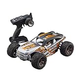 Kyosho BK 1:10 EP 4WD Rage VE 30992T1 RC Auto Elektro