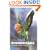 Budgerigars: Your Guide to Easy Training