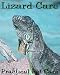 Lizard Care