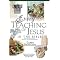 Everything About the Bible Series