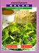 Salad Menus
