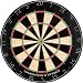 Champion's Choice Practice Bristle Dartboard