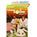 Staring at Sound: The True Story of Oklahoma's Fabulous Flaming Lips