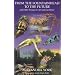 From the Fountainhead to the Future and Other Essays on Art and Excellence