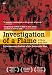 %%store%% : Investigation of a Flame
