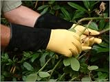 Gold Leaf Tough Touch Gloves GENTLEMENS