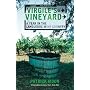 Virgile's Vineyard: A Year in the Languedoc Wine Country