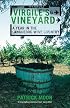 Virgile's Vineyard: A Year in the Languedoc Wine Country