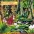 Rainforest