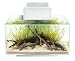 Fluval Edge 6-Gallon Aquarium with 21-LED Light, White