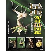 昆虫変身3D図鑑―変態の決定的瞬間