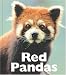 Red Pandas (Naturebooks: Mammals) by Joshua Rutten