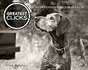 Greatest Clicks: A Dog Photographer's Best Shots