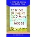 12 Tribes, 10 Plagues, and the 2 Men Who Were Moses: A Historical Journey into Biblical Times