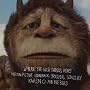 Where The Wild Things Are Original Motion Picture Soundtrack:  Original Songs By Karen O And The Kids