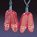 Set Of 10 The Wizard Of Oz Glittery Ruby Slipper Christmas Lights