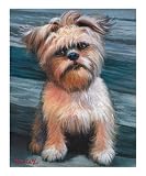 Little Brussels Griffon Animals Giclee Poster Print by Rhonda Watson, 20x24