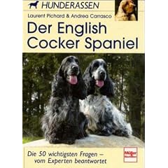 Der English Cocker Spaniel. Hunderassen.