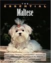 The Essential Maltese (Howell Book House's Essential)