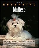 The Essential Maltese (Howell Book House's Essential)