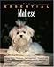   - The Essential Maltese (Howell Book House's Essential)
