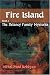 Book Fire Island (Book I The Delaney Family Mysteries)