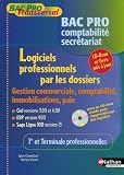 Logiciels professionnels par les dossiers 1e et Tle Bac pro comptabilité secrétariat : Gestion commerciale, comptabilité, immobilisations, paie Ciel versions ... 9.00, Sage Ligne 100 version 13 (1Cédérom)