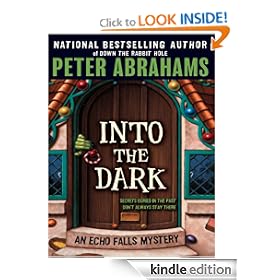 Into the Dark (Echo Falls Mystery)