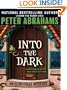 Into the Dark (Echo Falls Mystery)