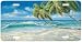 Tropical Beach - Ocean Art Print - License Plate Car Tag by Sherry Vintson from Airst...