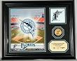 Florida Marlins "Team Pride" Photo Mint
