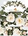 FOUR 40" Artificial William Rose Swags wedding arrangement.