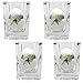 Dallas Stars NHL 4pc Square Shot Glass Set by Great American Products