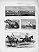 1873 Cholera Camp India Aldershott Horses Hippopotamus