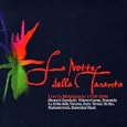 La Notte della Taranta (Live in Melpignano 17.08.2003)