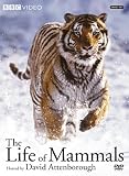 The Life of Mammals, Vol. 1-4