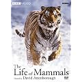 Life of Mammals V1-4