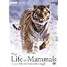 Life of Mammals V1-4