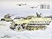 SdKfz 251 Ausf D - Armor Walk Around Color Series No. 9