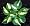 Lakeside Cupcake Hosta