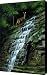 Cool Cascade Canvas Print - Canvas Art