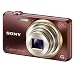 Sony Cyber-shot DSC-WX100 18.2 MP Digital Camera - Brown (Taupe)