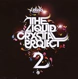 Liquid Crystal Project 2