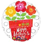 516OghsP4YL. SL160  18 Mothers Day Flower Pot