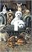 Dog Couch Decorative Switchplate Cover