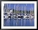 Royal Yacht Club, Vancouver, British Columbia, Canada Collections Framed Art Poster P...